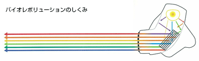 バイオレボリューションのしくみ