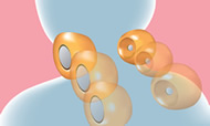 説明イラスト